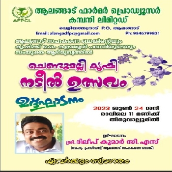 MARIGOLD CULTIVATION